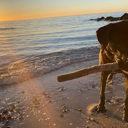 Ostseeferienpark Walkyrien - Lotse 11 Дом отдыха