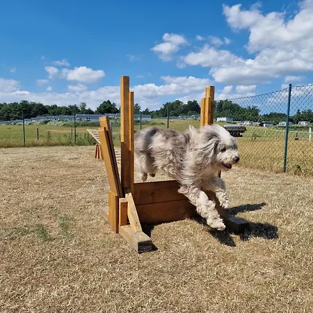 Ostseeferienpark Walkyrien - Lotse 11 Дом отдыха Нойштадт (Гольштейн)